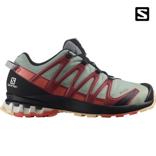 Olive / Red Salomon Xa Pro 3d V8 GTX Women's Trail Running Shoes | PH 59672W